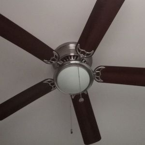 Meet your Posher, Areli